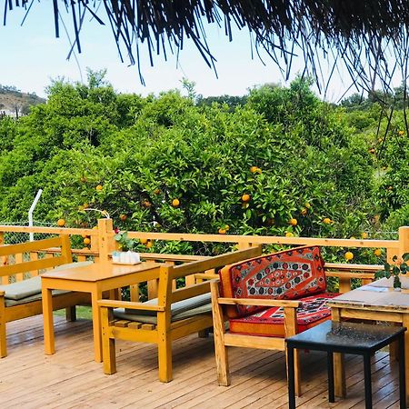 Dream Town Hotel&Restaurant Kemer Exterior photo