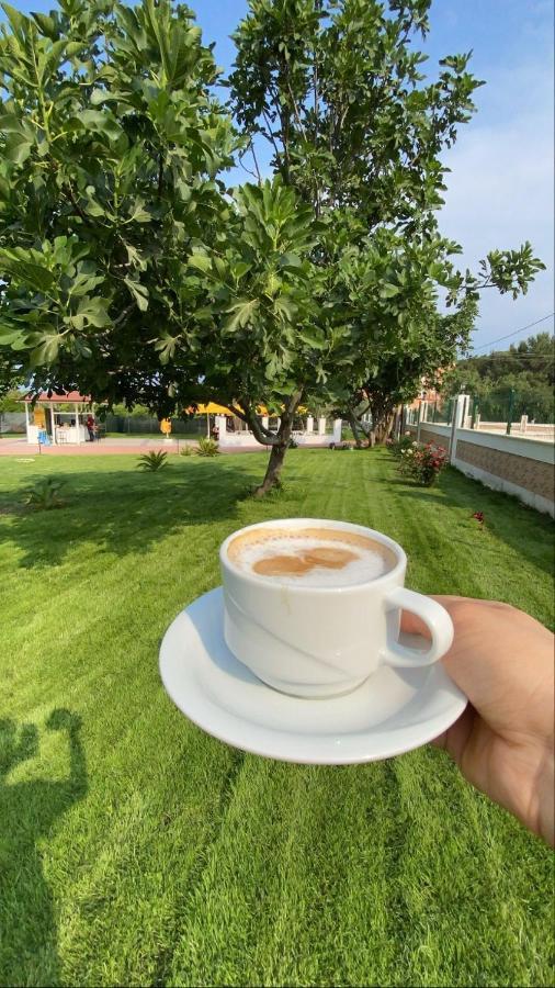 Dream Town Hotel&Restaurant Kemer Exterior photo